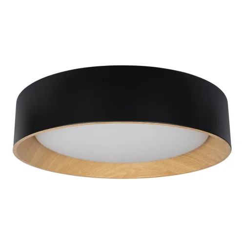 Светильник потолочный LED Coin 10202 Black LOFT IT коричневый чёрный белый 1 лампа, основание коричневое чёрное в стиле современный 