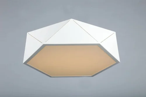 Люстра потолочная LED Evesham OML-45307-26 Omnilux белая на 1 лампа, основание белое в стиле хай-тек  фото 2