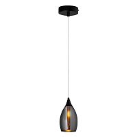 Светильник подвесной Barry A7951SP-1BK Arte Lamp чёрный 1 лампа, основание чёрное в стиле модерн 