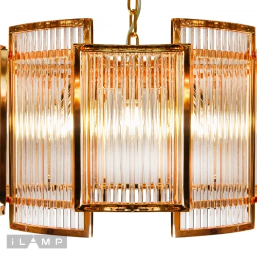 Люстра подвесная Tribeca MD0276-6A iLamp прозрачная на 6 ламп, основание золотое в стиле классический  фото 3