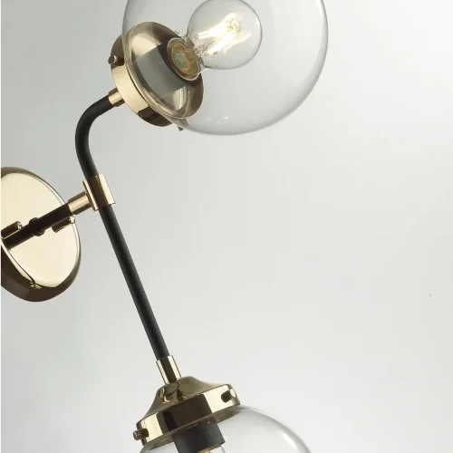 Бра Priama 4971/2W Odeon Light прозрачный на 2 лампы, основание чёрное в стиле современный  фото 5