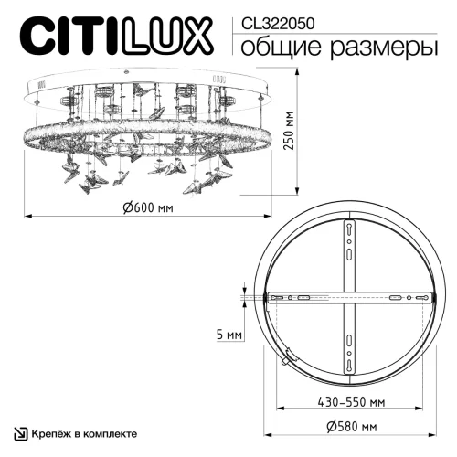 Люстра потолочная LED с пультом Etera CL322050 Citilux прозрачная на 1 лампу, основание хром в стиле современный хай-тек флористика с пультом фото 12
