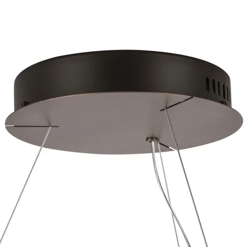 Светильник подвесной LED Faraone 701181 Lightstar бронзовый коричневый прозрачный 1 лампа, основание бронзовое коричневое в стиле современный арт-деко кольца бабочки фото 3
