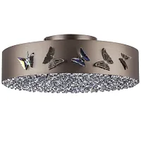 Светильник потолочный LED Faraone 701021 Lightstar прозрачный коричневый бронзовый 1 лампа, основание бронзовое коричневое в стиле современный арт-деко бабочки