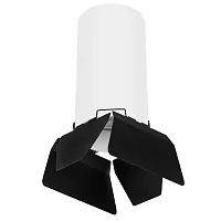 Светильник накладной Rullo R6486487 Lightstar чёрный белый 1 лампа, основание белое в стиле хай-тек круглый