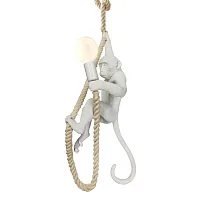 Светильник подвесной Hicksville GRLSP-9993 Lussole без плафона 1 лампа, основание белое в стиле современный 