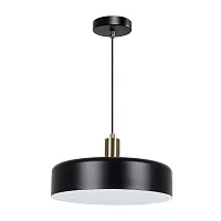 Светильник подвесной Skat A7152SP-1BK Arte Lamp чёрный на 1 лампу, основание чёрное в стиле лофт современный 