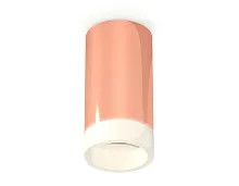 Светильник накладной Techno spot XS6326021 Ambrella light розовый золотой 1 лампа, основание розовое золотое в стиле модерн круглый