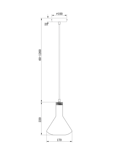 Светильник подвесной Lizia FR8010PL-01GB Freya прозрачный 1 лампа, основание чёрное в стиле современный лофт  фото 4