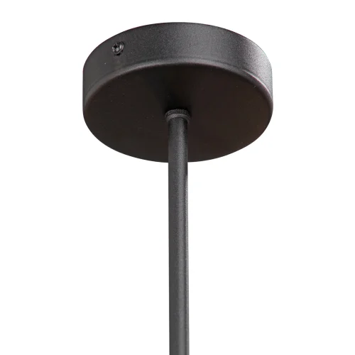 Люстра потолочная V4897-1/12PL Vitaluce без плафона на 12 ламп, основание чёрное в стиле лофт фото 3