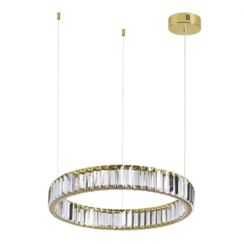 Светильник подвесной LED Vekia 5015/30L Odeon Light прозрачный на 1 лампу, основание золотое в стиле современный кольца