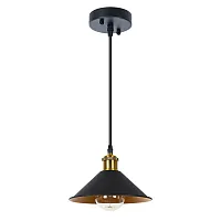 Светильник подвесной Cappello A7037SP-1BK Arte Lamp чёрный 1 лампа, основание чёрное в стиле лофт модерн 