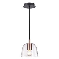 Светильник подвесной Joseph 4455/1 Lumion прозрачный 1 лампа, основание чёрное медь в стиле хай-тек современный 