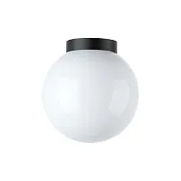Потолочный светильник уличный Bolla 373010 Lightstar уличный IP65 чёрный на 1 лампу, плафон белый в стиле современный E27