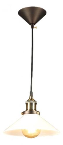 Светильник Эдисон подвесной CL450102 Citilux белый 1 лампа, основание коричневое бронзовое в стиле лофт 