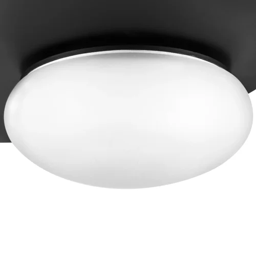 Светильник подвесной LED Emisfero 737337 Lightstar белый 1 лампа, основание чёрное в стиле современный  фото 8