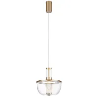 Светильник подвесной LED Flaska 4313-1P Favourite прозрачный на 1 лампу, основание матовое золото в стиле современный 