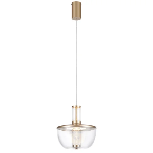 Светильник подвесной LED Flaska 4313-1P Favourite прозрачный на 1 лампу, основание матовое золото в стиле современный 