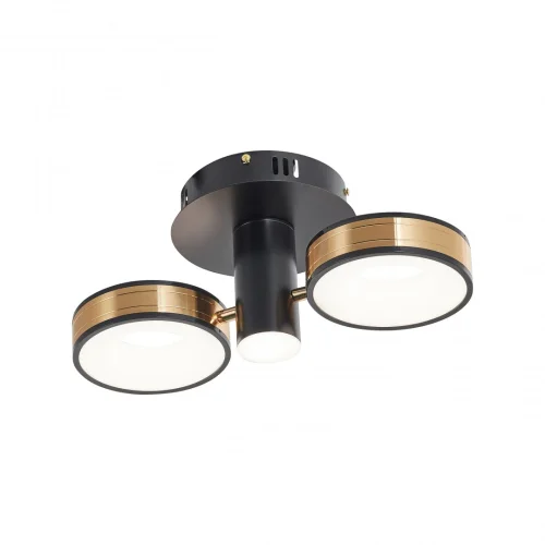 Люстра потолочная LED Ferrara-71040 271040/2R BK/GD Arte Milano белая на 1 лампу, основание чёрное в стиле современный хай-тек фото 14