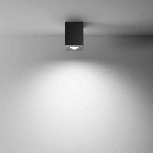 Светильник накладной Alfa C017CL-01B Maytoni чёрный 1 лампа, основание чёрное в стиле современный квадратный фото 6