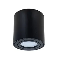 Светильник накладной Beid A1513PL-1BK Arte Lamp чёрный 1 лампа, основание чёрное в стиле современный круглый