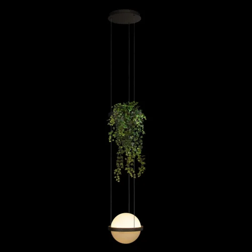 Светильник подвесной LED Jardin 10121/1P Dark grey LOFT IT белый 1 лампа, основание антрацит чёрное в стиле флористика арт-деко  фото 2