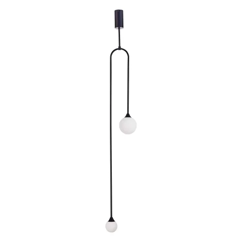 Светильник подвесной Vive SL1187.403.02 ST-Luce белый 2 лампы, основание чёрное в стиле минимализм  фото 2