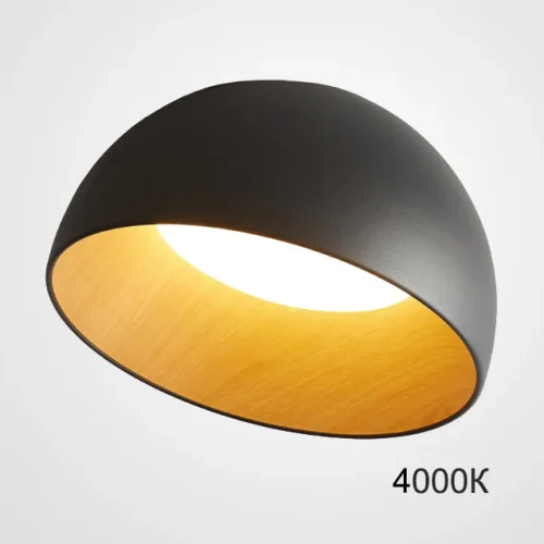 Светильник потолочный BARA A D35 Black 4000К 223992-23 ImperiumLoft чёрный на 1 лампу, основание коричневое в стиле современный скандинавский минимализм 