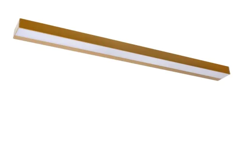 Подсветка для картин LED Alexa 04210/13/02 Lucide матовая золото латунь белая в стиле современный фото 2