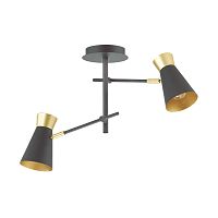 Люстра потолочная лофт Liam 3790/2C Lumion золотая чёрная на 2 лампы, основание чёрное в стиле лофт 
