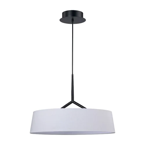 Светильник подвесной LED Alma 1029/06 SP-10 Divinare белый на 1 лампу, основание чёрное в стиле современный 