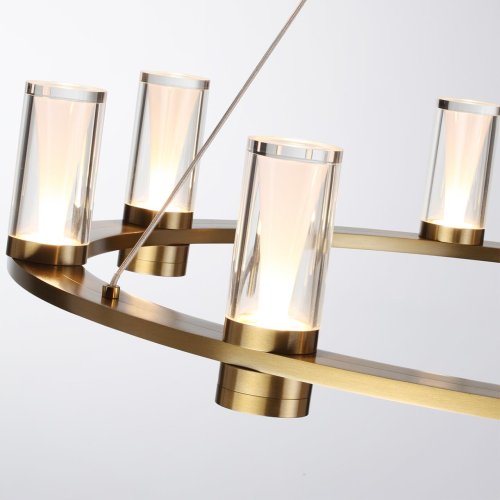 Люстра подвесная LED Defance 7144/70L Odeon Light прозрачная на 8 ламп, основание бронзовое в стиле современный классический кольца фото 5 Люстра подвесная LED Defance 7144/70L Odeon Light прозрачная на 8 ламп, основание бронзовое в стиле современный классический кольца фото 5