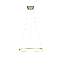 Светильник подвесной LED Erto SL904.203.01 ST-Luce золотой на 1 лампу, основание золотое в стиле хай-тек кольца
