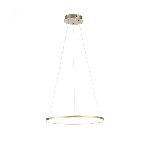 Светильник подвесной LED Erto SL904.203.01 ST-Luce золотой на 1 лампу, основание золотое в стиле хай-тек кольца