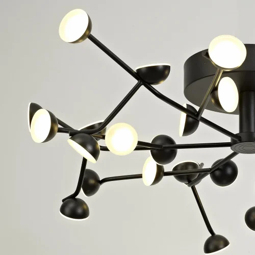 Люстра потолочная LED Adn 6422 Mantra чёрная на 1 лампа, основание чёрное в стиле современный хай-тек  фото 4