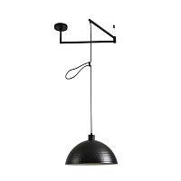 Светильник подвесной Armina 8321/1C Lumion чёрный на 1 лампу, основание чёрное в стиле лофт 