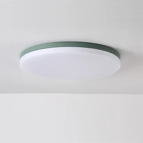 Светильник потолочный DISC HALF D48 Green 193129-26 ImperiumLoft белый на 1 лампу, основание зелёное в стиле современный 