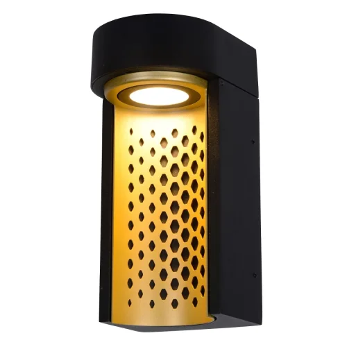 Настенный светильник LED Kiran 45800/10/02 Lucide уличный IP65 чёрный 1 лампа, плафон матовый золото латунь в стиле современный LED фото 4