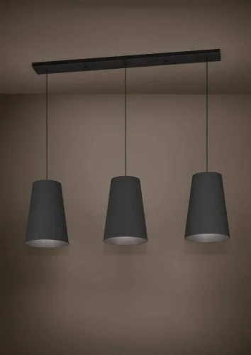 Светильник подвесной Petrosa 390133 Eglo чёрный 3 лампы, основание чёрное в стиле современный  фото 2