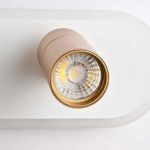 Светильник потолочный LED с пультом Planar 4075-2C Favourite золотой 1 лампа, основание белое в стиле хай-тек с пультом фото 4