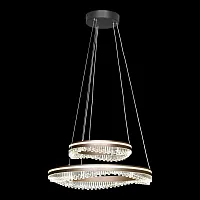 Люстра подвесная LED Hardin LSP-7428 Lussole прозрачная на 1 лампу, основание коричневое в стиле минимализм хай-тек современный кольца