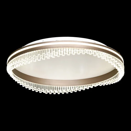 Светильник потолочный LED Hardin LSP-7429 Lussole прозрачный на 1 лампу, основание коричневое белое в стиле современный хай-тек минимализм фото 2