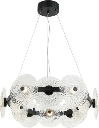 Люстра подвесная LED Sportu 4012/02/12P Stilfort прозрачная на 1 лампу, основание чёрное в стиле современный 