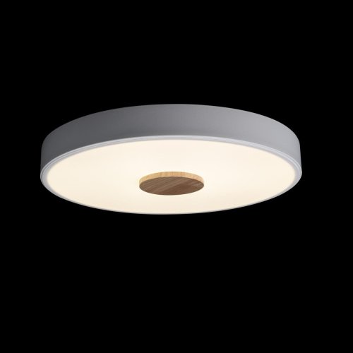 Светильник потолочный LED Axel 10003/24 White LOFT IT белый 1 лампа, основание белое в стиле современный  фото 5