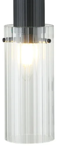 Бра Wunder 2160/02/01W Stilfort прозрачный на 1 лампа, основание чёрное в стиле современный  фото 2