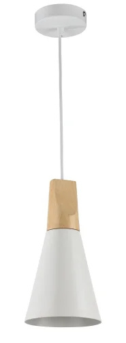Светильник подвесной Bicones P359-PL-140-W Maytoni белый 1 лампа, основание белое в стиле современный  фото 3