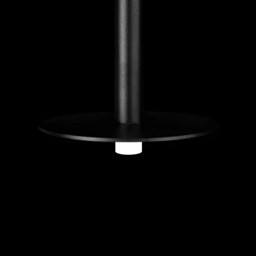 Светильник подвесной LED Reed 10358/830 Disk LOFT IT чёрный на 1 лампу, основание чёрное в стиле современный минимализм трубочки фото 7
