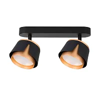 Спот с 2 лампами Amaks A8028PL-2BK Arte Lamp чёрный GX53 в стиле современный 