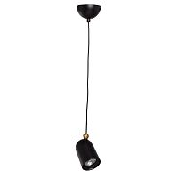 Светильник подвесной Астор 545013701 DeMarkt чёрный 1 лампа, основание чёрное в стиле модерн 