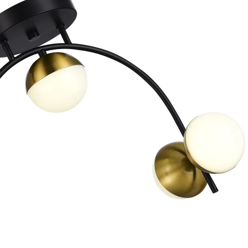 Люстра потолочная LED Aarnio SLE6500-402-04 Evoluce белая на 4 лампы, основание чёрное в стиле современный  фото 3